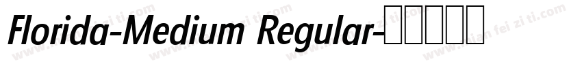 Florida-Medium Regular字体转换